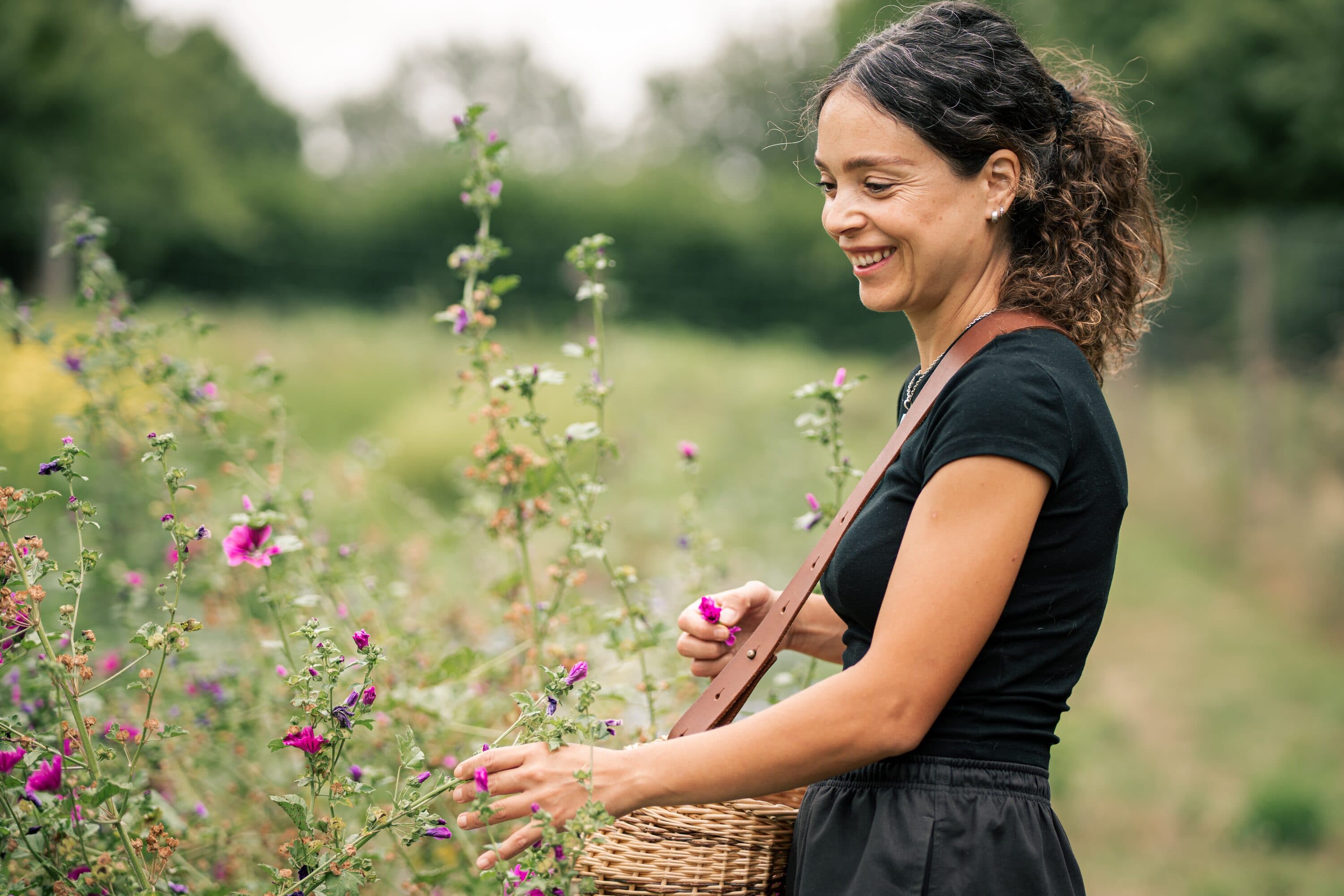 Alexandra Chennevière cueille des fleurs de mauve, panier en osier à l'épaule