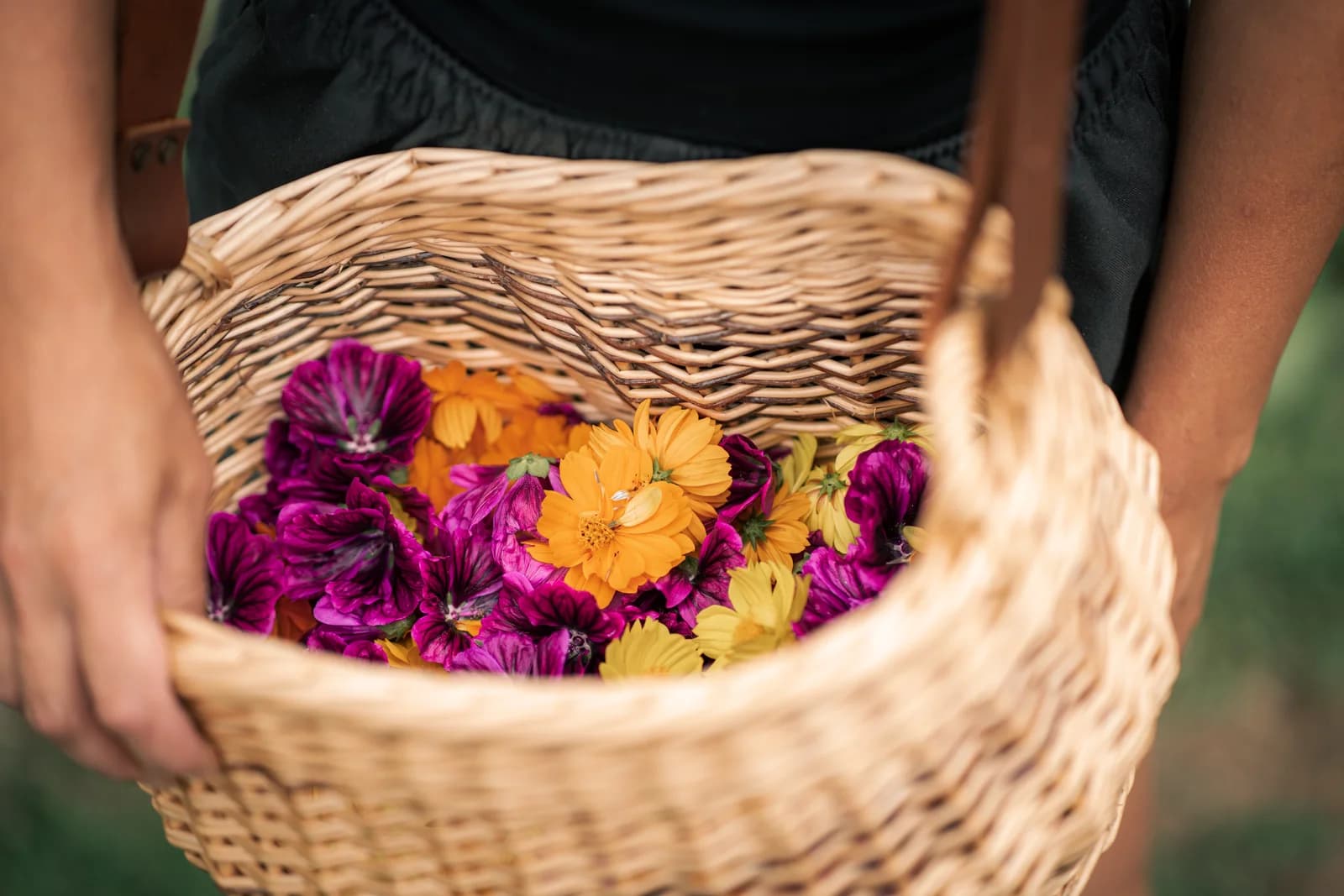 Panier d'osier rempli de fleurs comestibles fraîchement cueillies